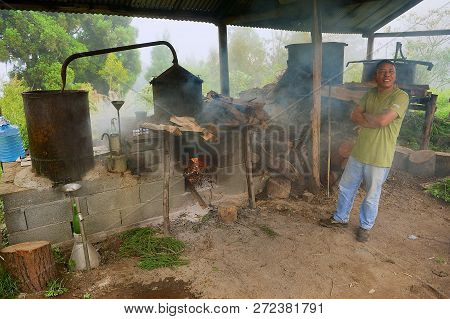 Les Palmistes, France - December 12, 2010: Unidentified Farmer Produces Geranium Oil - A Fragrant Oi