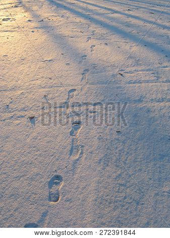 Traces Of Soles In The Fresh Snow At Sunset. Snow Glitters Underfoot, Light Alternates With Shadow. 