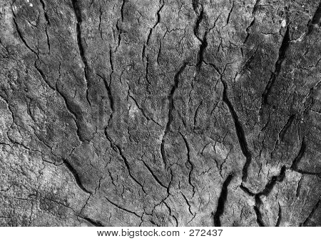 Stary tekstura drewna