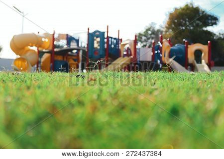 A Photo Of A Park Taken From Ground With Focus On The Grass
