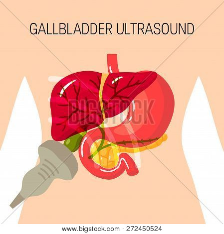 Gallbladder Ultrasound Concept. Medical Illustration Of The Bile Duct And Surrounding Organs Inside 