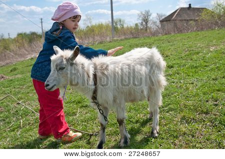 La jeune fille caresse la petite chèvre