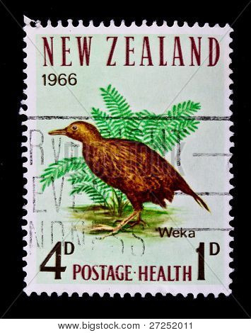 Uusi-Seelanti - noin 1966: Leima painettu Uudessa-Seelannissa, osoittaa lintu Weka, noin 1966.