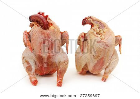 to kyllinger rå friske isoleret på hvid baggrund