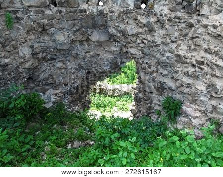 Hole In The Stone Wall Of The Ruined Castle In Khust, Ukraine. Bright Green Young Spring Grass Grows