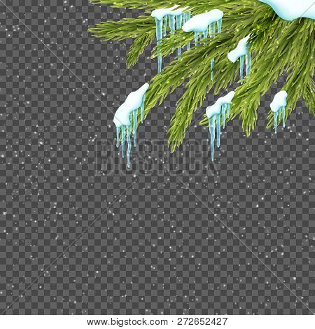 Border Relistic Vector Photo Free Trial Bigstock