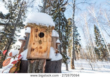 Many Birdhouses, For Birds And Feeders On The Tree. Houses For Birds In The Winter Under The Snow On