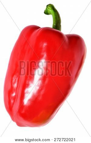 Pepper Red. Paprika. Bell Pepper Isolated. Sweet Red Peppers. White Background.
