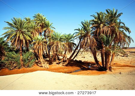 D'Oum Laalag oasi nel deserto del Sahara, Africa