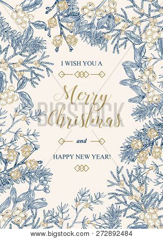 Hand Drawn Christmas Card With Winter Plants. Spruse, Mistletoe, Juniper And Cones Vector Illustrati