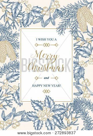Hand Drawn Christmas Card With Winter Plants. Spruse, Holly, Mistletoe, Juniper And Cones Vector Ill