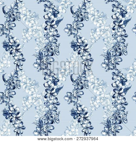 Hand Drawn Charcoal Pencil Illustration Flowers Of The Dark And Light Blue Color Pulm Blossoms And T