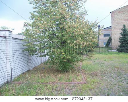 Exterior And Interior Photofixation Of The Production Department Of The Building