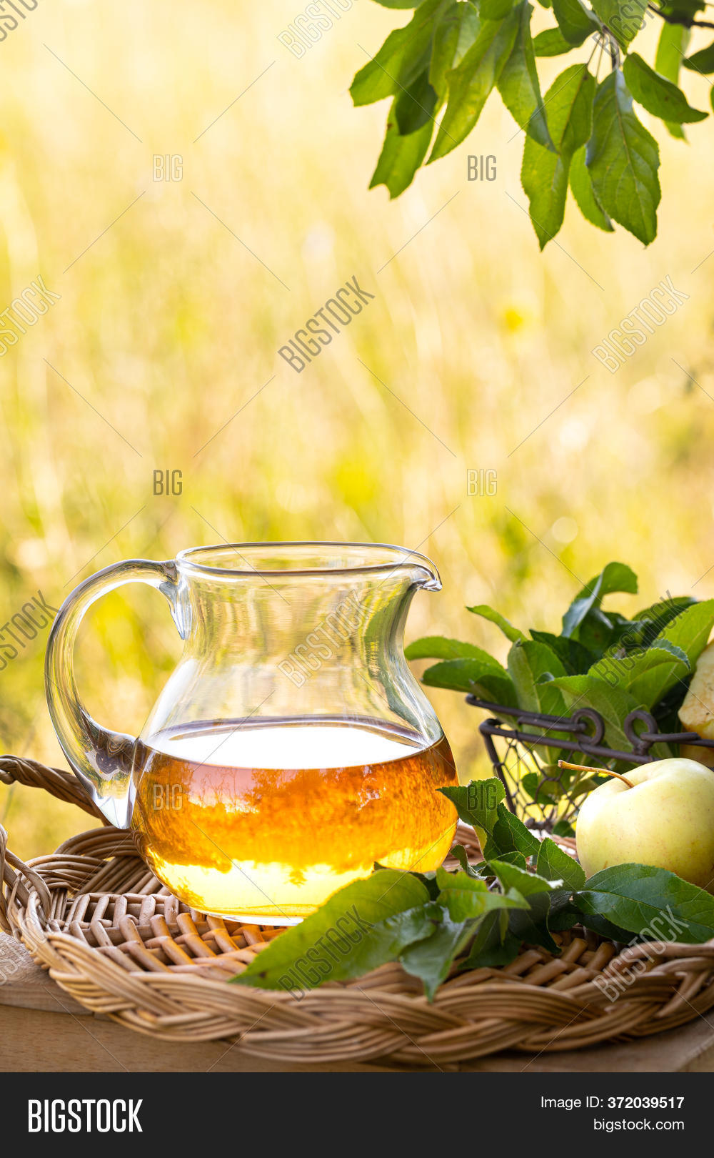 Glass Jug Apple Cider Image & Photo (Free Trial) Bigstock