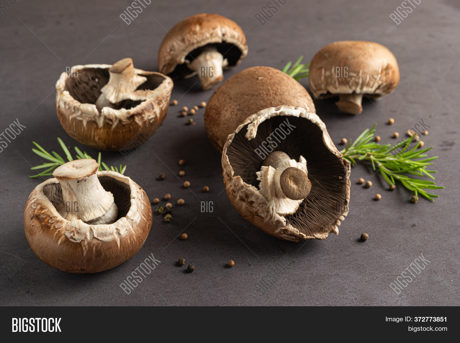 Frame Raw Portobello Image & Photo (Free Trial) Bigstock