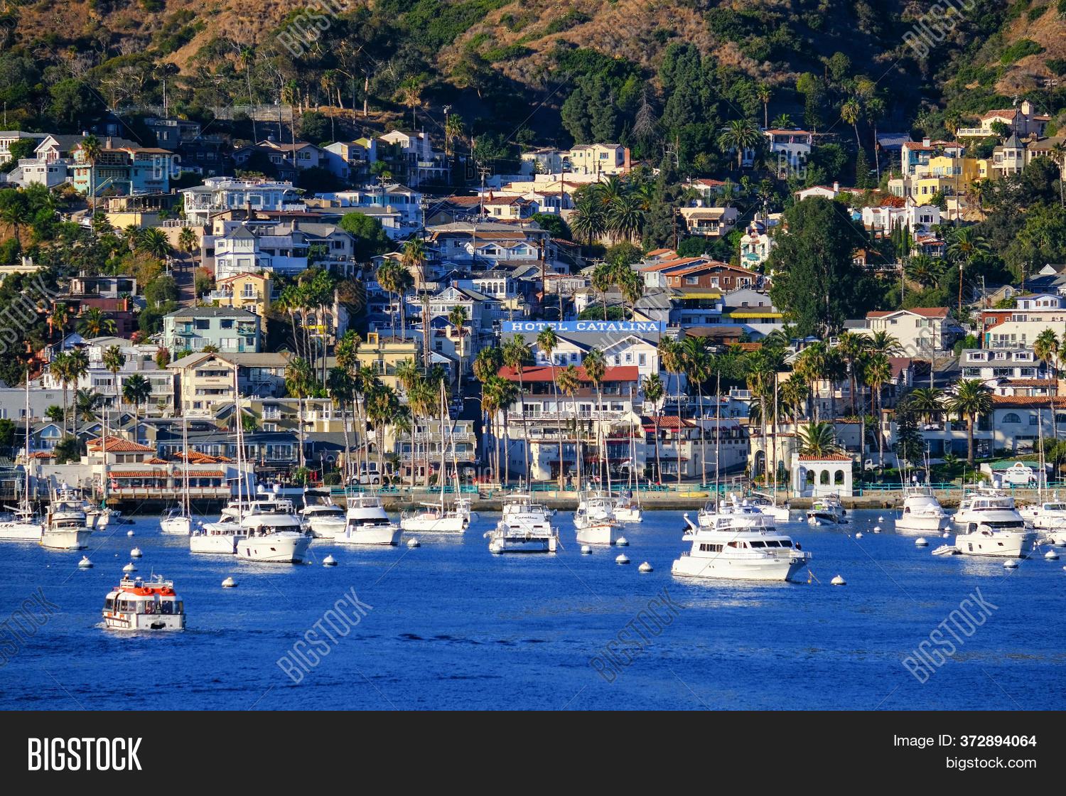 Avalon, California Image & Photo (Free Trial) Bigstock