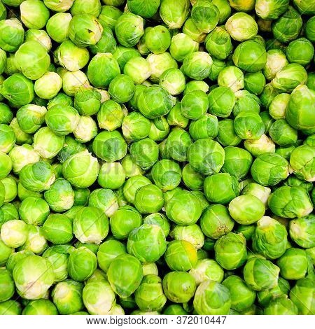 Background Filled With Cabbage. Agriculture. Healthy And Healthy Food For Humans. Selective Focus.
