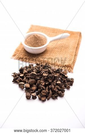 Black Musli / Moosli - Curculigo Orchioides Is An Indian Ayurvedic Herb