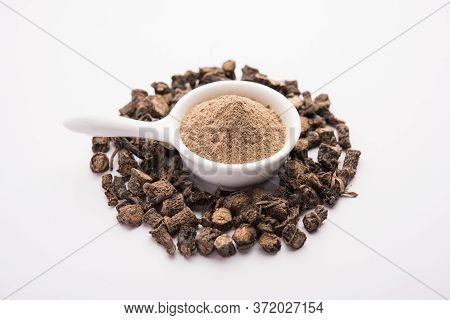Black Musli / Moosli - Curculigo Orchioides Is An Indian Ayurvedic Herb
