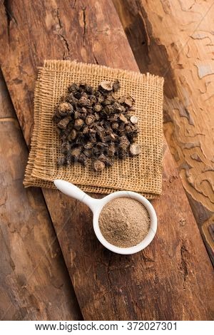Black Musli / Moosli - Curculigo Orchioides Is An Indian Ayurvedic Herb