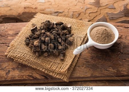 Black Musli / Moosli - Curculigo Orchioides Is An Indian Ayurvedic Herb
