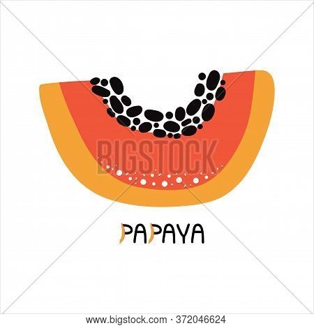Hand Drawn Piece Of Sweet Orange Papaya. Tropical Fresh Fruit With Pulp And Seeds. Vegetarian Organi