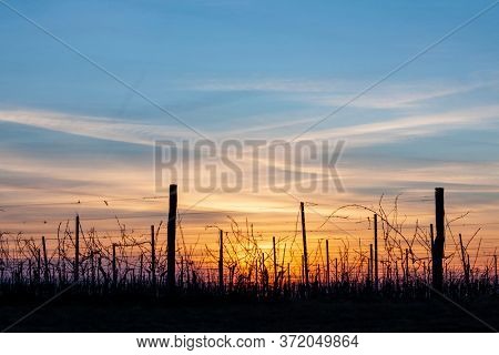 Sunset of Palava hill, South Moravia, Czech republic