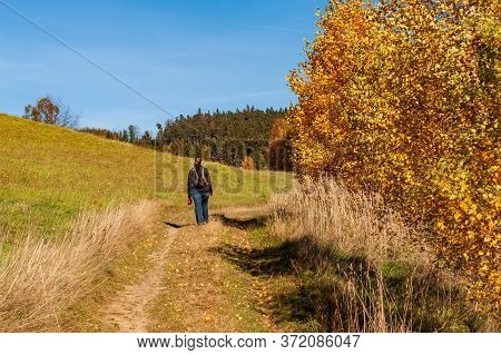 Youn Woman Hiking On Sunny Day In Autumn Forest, Fields And Meadow In Bright Yellow And Green. After