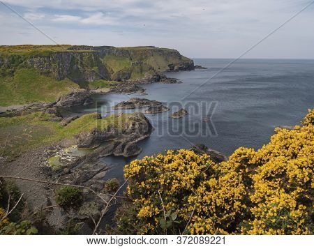 Amazing Causeway Coast In Northern Ireland On A Sunny Day - Travel Photography