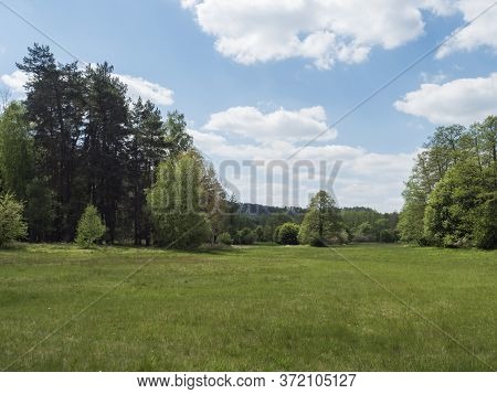Idyllic Spring Landscape With Lush Green Grass, Fresh Deciduous, Spruce And Pine Tree Forest, Blue S