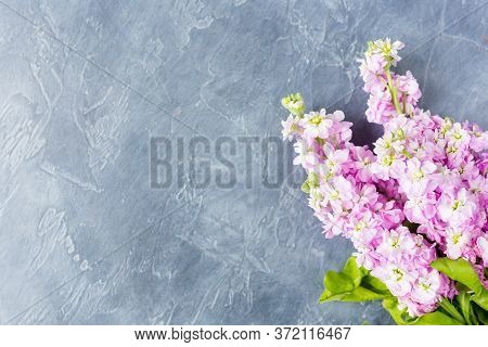 Dark Desktop View With Bouquet Of Beautiful Lilac Mattiola. Copy Space. Space For Text. Background T