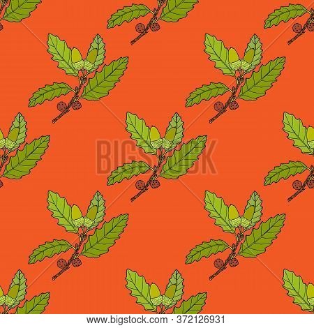 Aleppo Oak Branch Seamless Pattern. Hand Drawn Botanical Vector Illustration