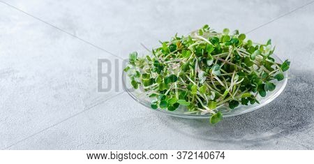 Close Up Radish Microgreens In Little Plate On Light Background