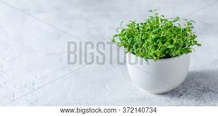 Close Up Watercress Microgreens In Little White Bowl On Light Background