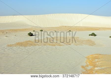 Big White Sand Dunes At Aomak Beach At Sunset, Socotra Island, Yemen. The Protected Area Of Aomak Be