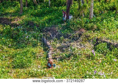Katcha River, Bangladesh - November 19, 2016: Local People On A Coast Of Katcha Kacha River, Banglad