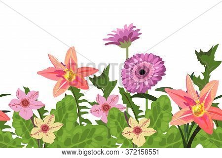 Vector Floral Seamless Border, Pattern With Daylilies And Gerbera Daisies.