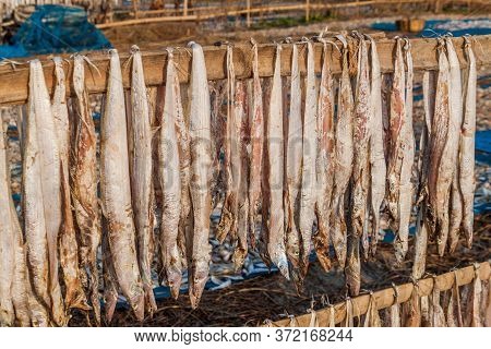 Drying Fish At Dublar Char Dubla Island , Bangladesh