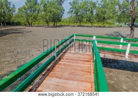 Boardwalk Over A Swampy Mangrove Forest At Hiron Point In Sundarbans, Bangladesh