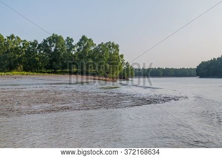 River And Mangrove Forest In Sundarbans, Bangladesh.