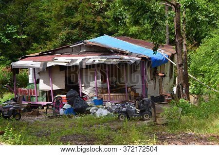 Dog Is On Alert, On Front Porch, Of Ramshackle House.  Belongings Are Strewn Everywhere.
