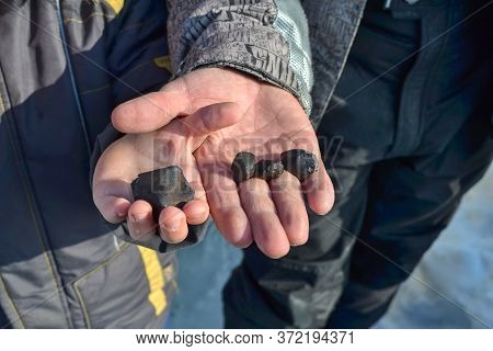 fragments of the Chelyabinsk meteorite found in winter and spring of 2013