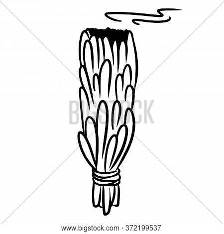 Sage Stick Hand Drawn Smudge Doodle. Vector Isolated Cartoon White Sage Herb Bundle. Smoking Cleansi