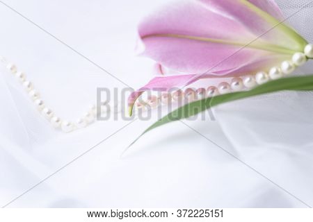 Pink Lily And Pearls On White. Wedding Background