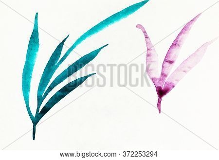 Sketches Of Foliage Hand-drawn By Color Inks On Old Textured Paper In Sumi-e (suibokuga) Style