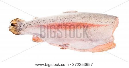 Deepfrozen Gutted And Headless Rainbow Trout Red Fish Isolated On White Background