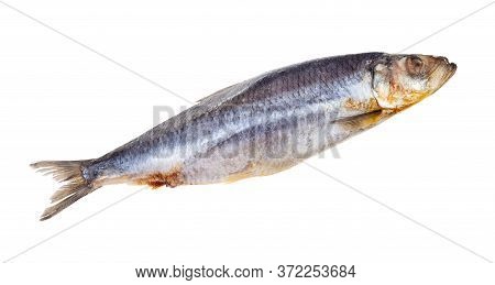 Deepfrozen Atlantic Herring Isolated On White Background