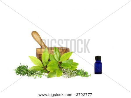 Culinaire en medicinale kruiden