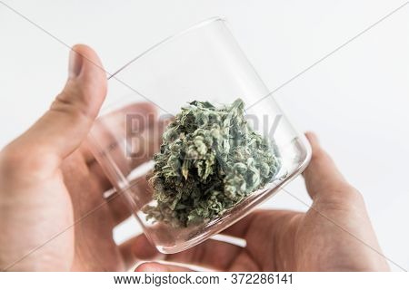 The Sugar Pot Leaves On Buds. Cannabis Buds In Glass Jar. Marijuana Nature. Cbd Thc Herb.