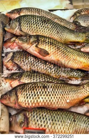 Fresh Fishes In The Market Close Up